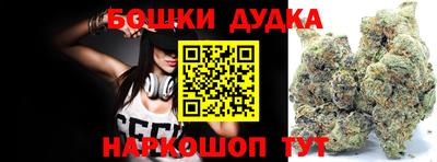 молекула духа Будённовск